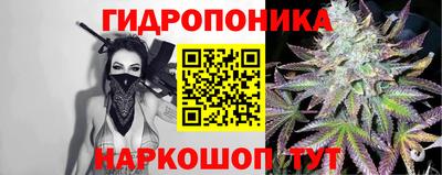 индика Гуково