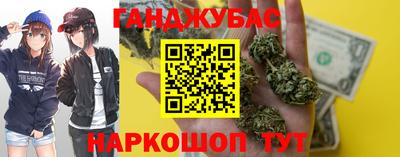 крисы Гудермес
