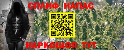 индика Гуково