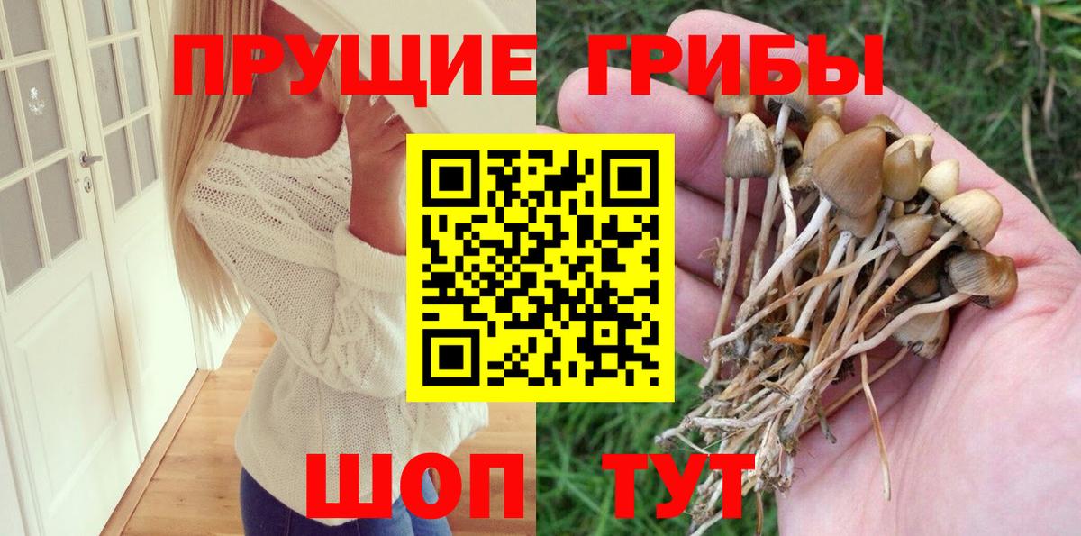 закладка  Псилоцибиновые грибы Magic Shrooms  Вход с VPN  Волжск  Галлюциногенные грибы Psilocybine cubensis 