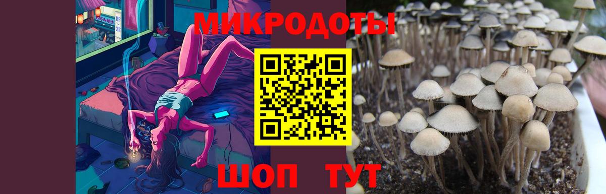 Псилоцибиновые грибы мицелий Волжск